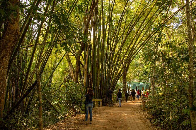 3 Days Teagarden and Rainforest Tour in Sreemangal - Why This Tour Might Be Perfect for You