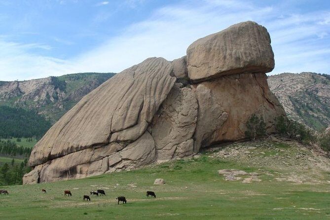3 DAYS Terelj national park and Central Mongolia - FAQ