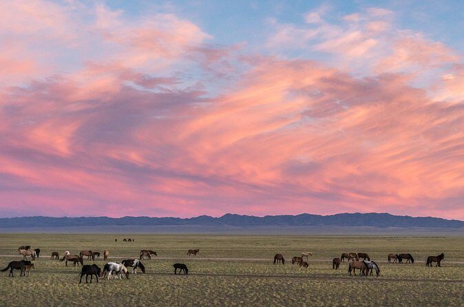 3 Days Three different natural zone and Ancient capital city - Final Thoughts