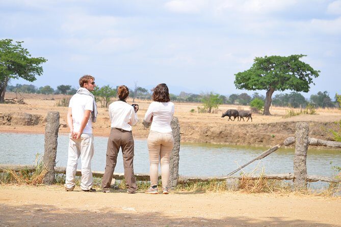 3 Days to Mikumi National Park From Dar es salaam - FAQ