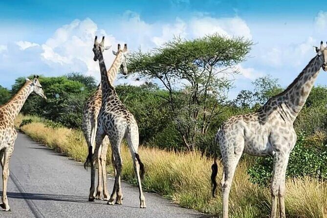 3 Days Tour at Chobe Park and Victoria Falls with Airport Pickup - FAQ