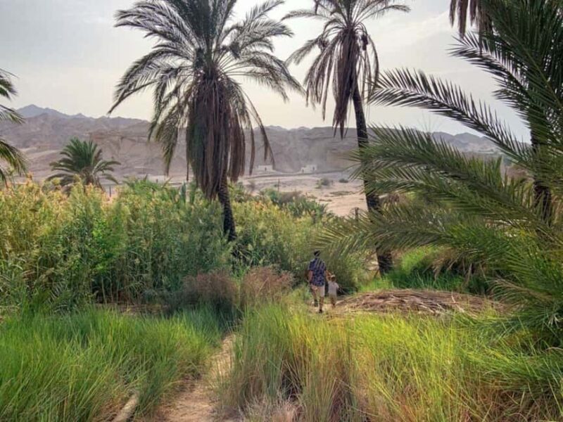3 Days Tour :Set out on a Journey from Tabuk to the Red Sea - The Sum Up