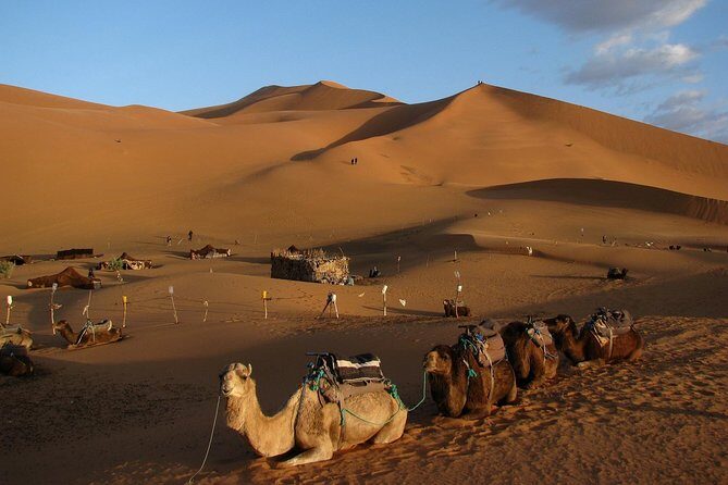 3 Days Tour From Marrakech to Merzouga Desert - The Sum Up