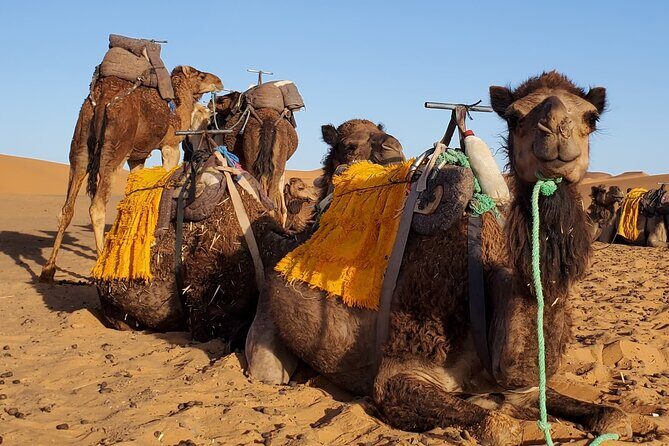 3 Days Tour from Marrakech to Merzouga Dunes and Camel Trek - An In-Depth Look at the Marrakech to Merzouga Tour