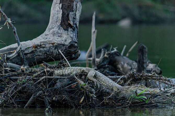 3-days-tour-in-manu-amazon