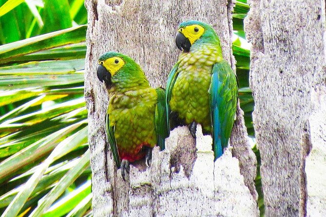 3-days-tour-in-manu-amazon