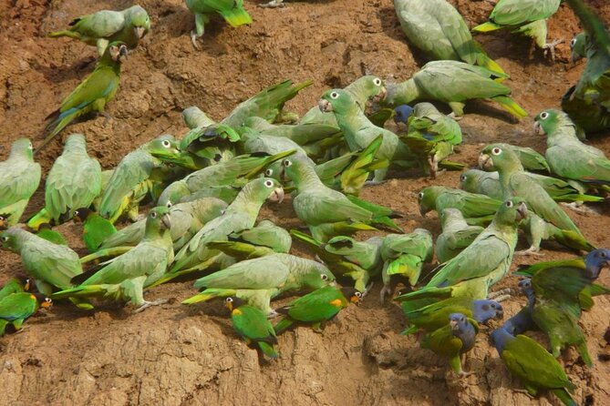 3-days-tour-in-manu-amazon