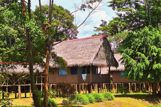 3-days-tour-in-the-amazon-rainforest-at-curassow-amazon-lodge