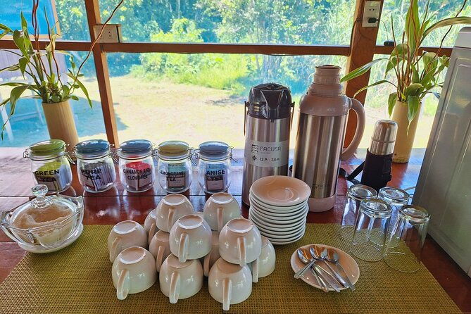 3-days-tour-in-the-amazon-rainforest-at-curassow-amazon-lodge