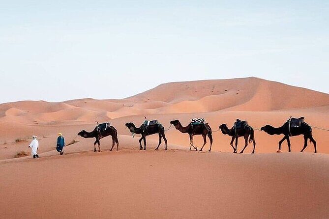 3 Days Tour Marrakech to Merzouga - Key Points