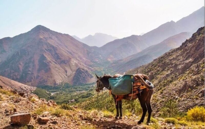 3 Days Trek Atlas Mountains Berber Villages from Marrakech - Final Thoughts
