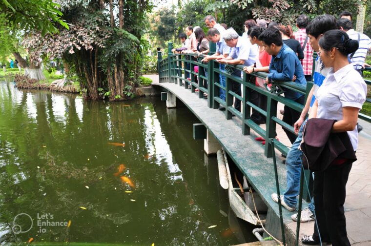 3-days-trekking-conquering-pu-luong-peak-and-homestay