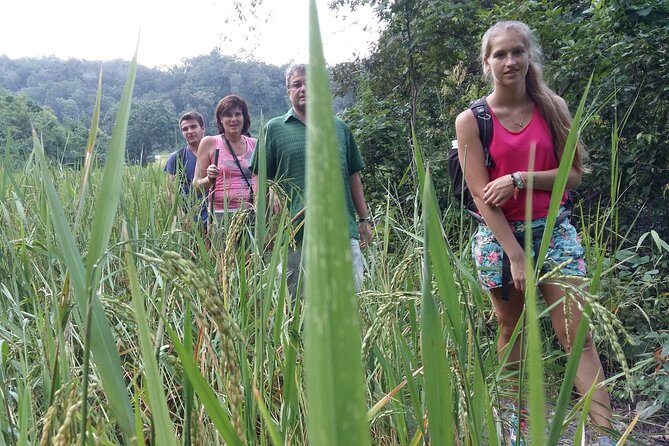 3 Days Trekking Tour to Mae Wang Jungle from Chiang Mai - Considerations and Caveats