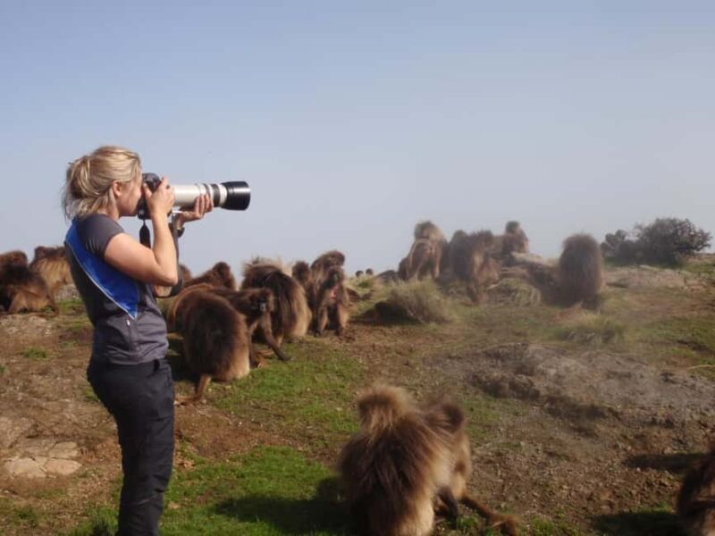 3 Days Trekking & Wildlife Spotting in the Simien Mountains - Key Points
