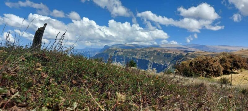 3 Days Trekking & Wildlife Spotting in the Simien Mountains - Why This Tour Is Worth Considering