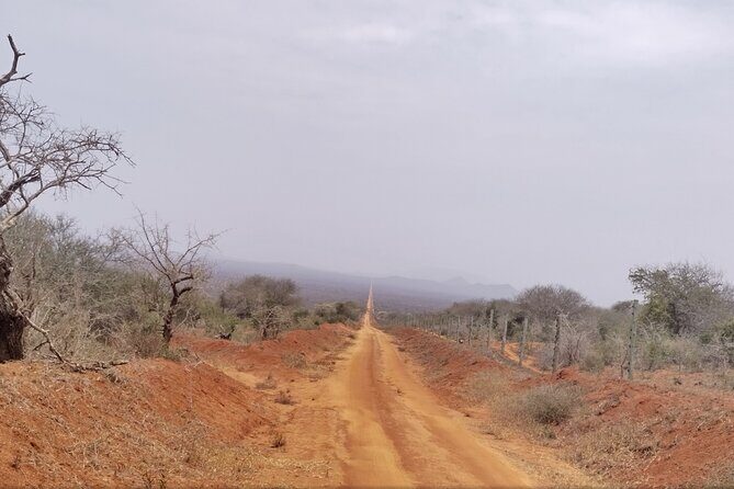 3 Days Tsavo East + Taita hills/Saltlick lodge from Malindi - Starting Strong: The Tsavo East Experience
