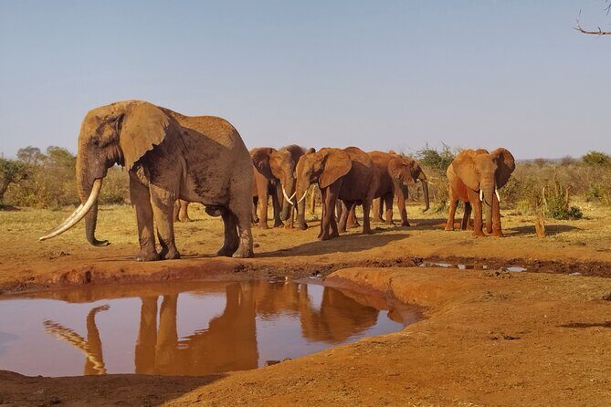 3 Days Tsavo East + Taita hills/Saltlick lodge from Malindi - Authentic, Well-Organized, and Value-Driven