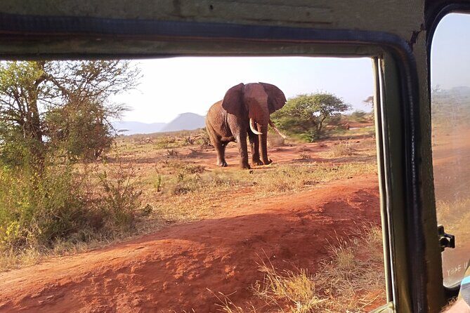 3 Days Tsavo East + Taita hills/Saltlick lodge from Malindi - Who Will Love This Tour?