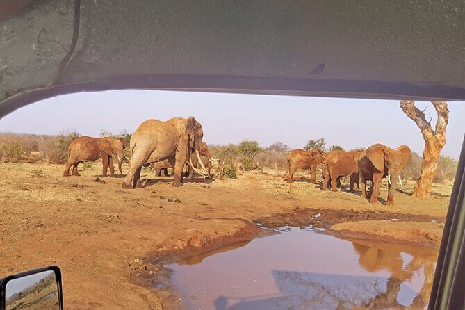 3 Days Tsavo East + Taita hills/Saltlick lodge from Malindi - FAQ