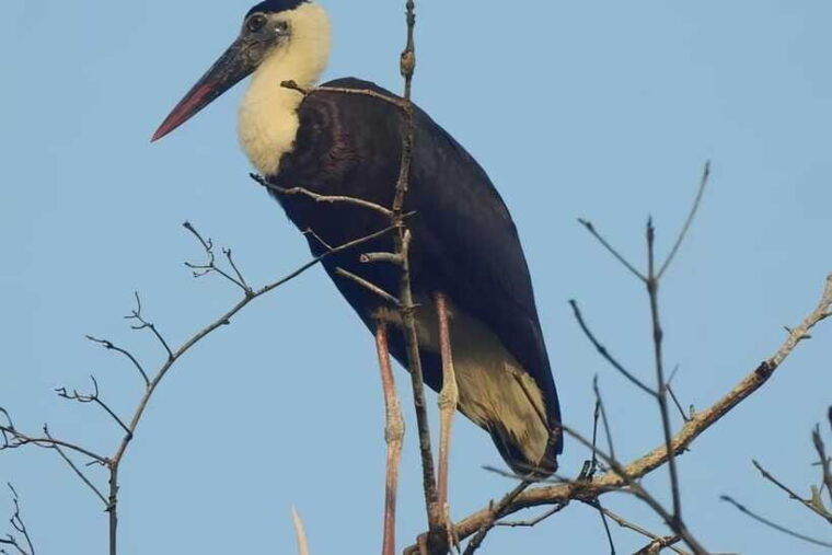 3-days-ujung-kulon-national-park-private-guided-tour