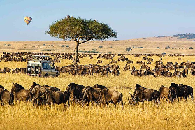 3 Days Unforgettable Masai Mara Safari Tour - Authenticity and Value: What Makes This Tour Stand Out?  