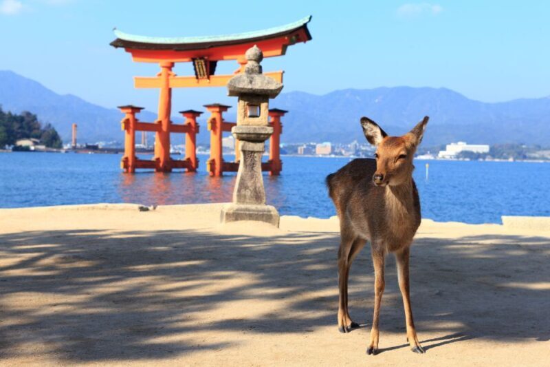 3 Departures: Hiroshima & Miyajima Trip with Indian Lunch - FAQs