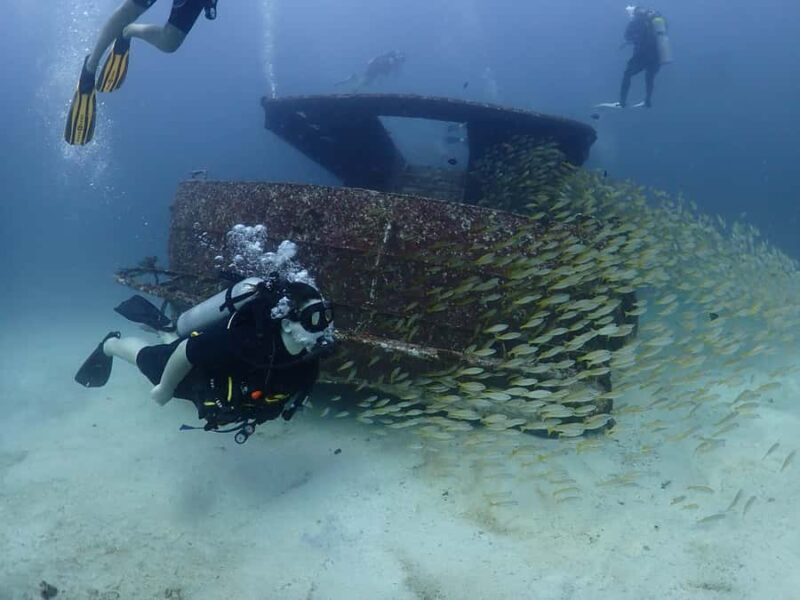 3 Fun Dives for Certified diver at Racha Yai/Noi - The Experience in Context: Why It’s Worth It