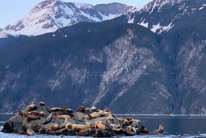 3-hour-alaska-waterfalls-tour-2