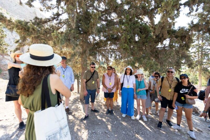 3-hour-athens-sightseeing-acropolis-including-entry-ticket-2