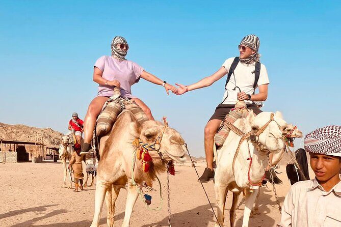 3 Hour ATV Quad Adventure in Hurghada - Who Should Consider This Tour?