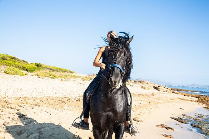 3-hour-beach-horse-riding-to-discover-the-beauty-of-alcudia-bay