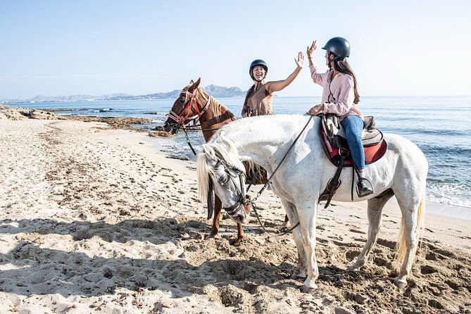 3-hour-beach-horse-riding-to-discover-the-beauty-of-alcudia-bay