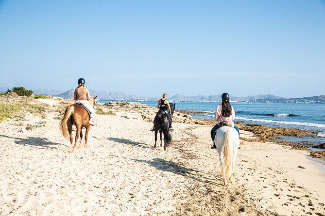 3-hour-beach-horse-riding-to-discover-the-beauty-of-alcudia-bay