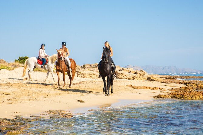 3-hour-beach-horse-riding-to-discover-the-beauty-of-alcudia-bay
