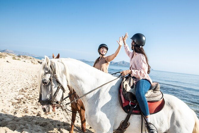 3-hour-beach-horse-riding-to-discover-the-beauty-of-alcudia-bay