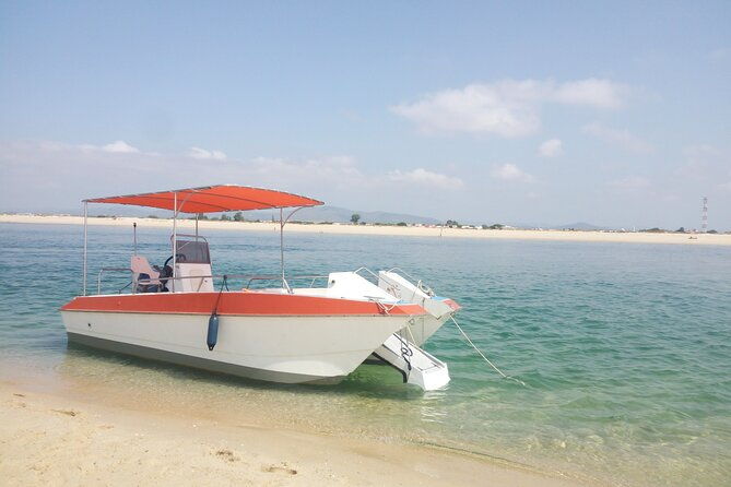 3-hour-boat-tour-in-ria-formosa