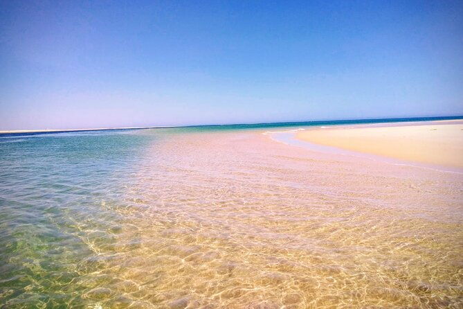 3-hour-boat-tour-in-ria-formosa