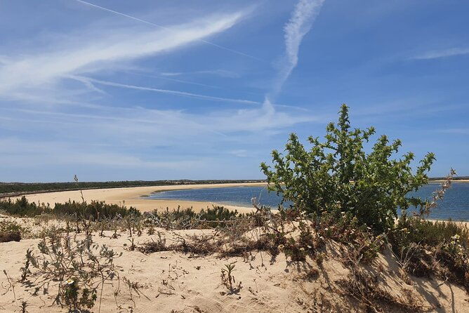 3-hour-boat-tour-in-ria-formosa