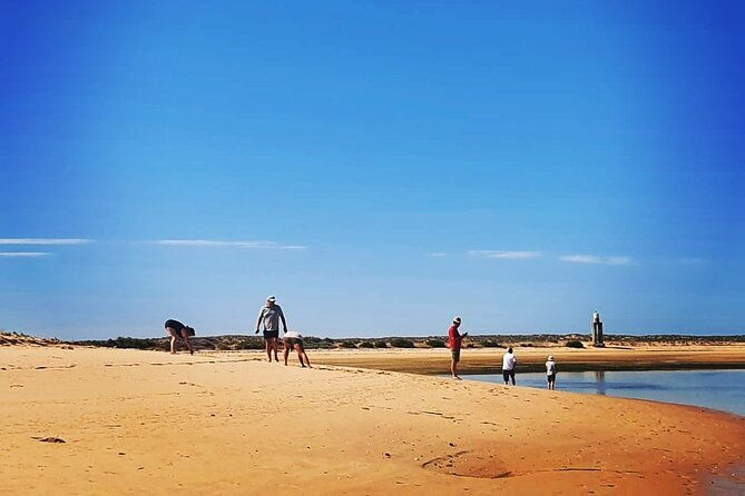 3-hour-boat-tour-in-ria-formosa