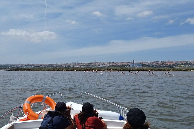 3-hour-boat-trip-and-birdwatching-in-the-tagus-estuary