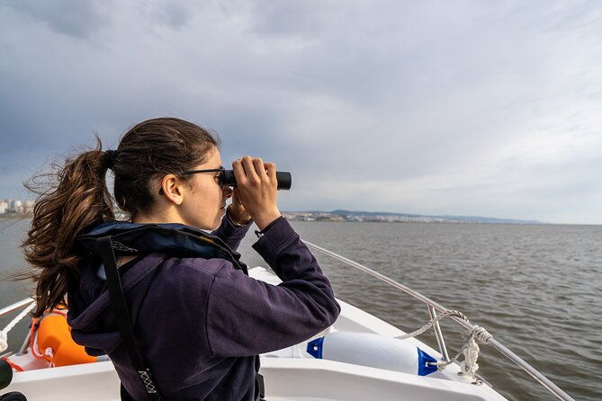 3-hour-boat-trip-and-birdwatching-in-the-tagus-estuary
