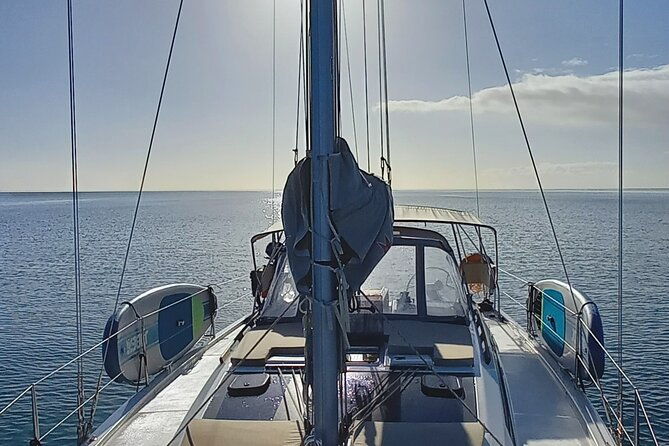 3-hour-boat-trip-to-ponta-da-piedade