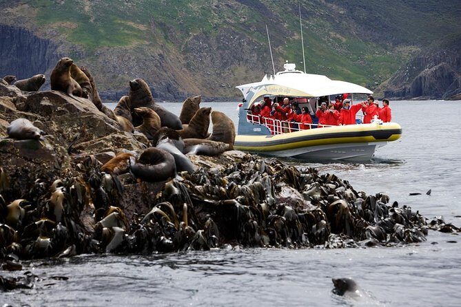 3-Hour Bruny Island Cruise from Adventure Bay, Bruny Island - Experience the Natural Wonders of Bruny Island from the Sea