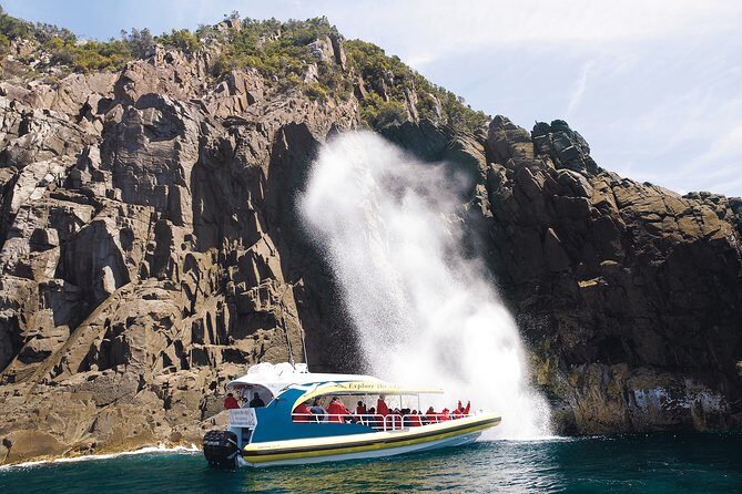 3-Hour Bruny Island Cruise from Adventure Bay, Bruny Island - Key Points