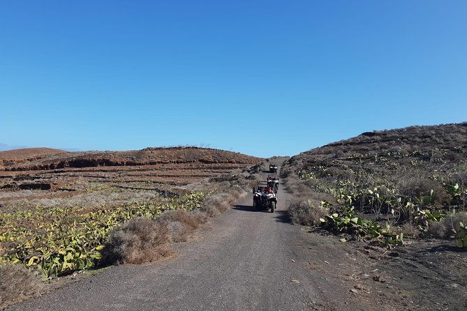 3-hour-buggy-tour-from-costa-teguise
