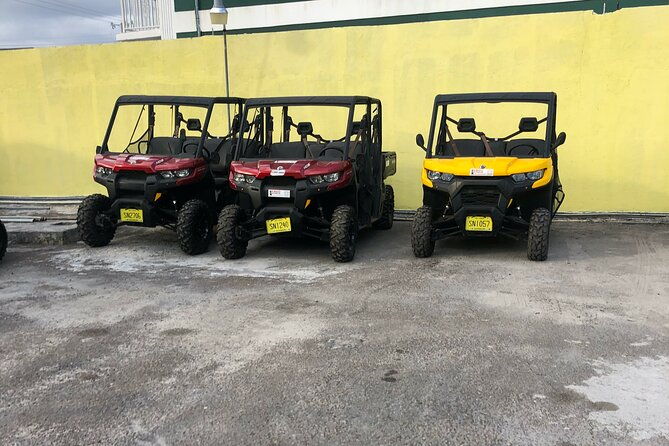 3-hour-buggy-tour-of-new-providence-inclusive-of-water-local-deserts