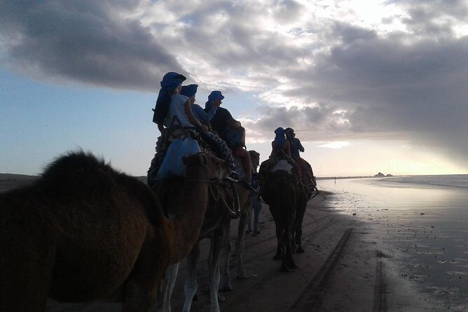 3-hour camel ride at sunset - The Experience Overview