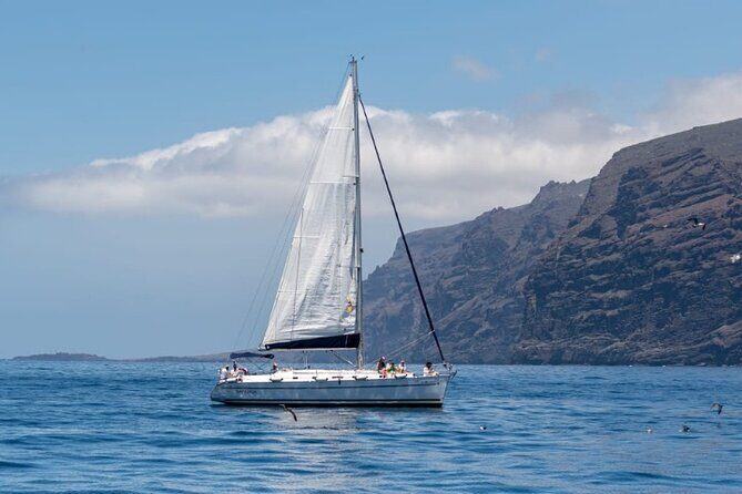 3-Hour Cetacean Watching and Snorkeling Tour in Tenerife - A Closer Look at the Experience
