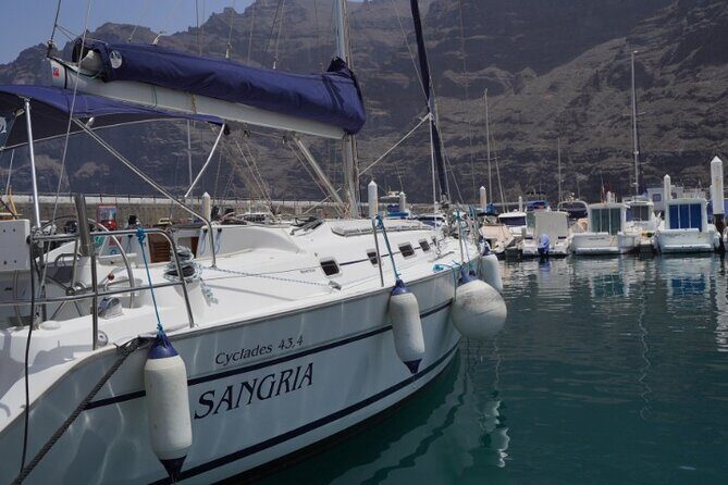 3-Hour Cetacean Watching and Snorkeling Tour in Tenerife - The Sum Up