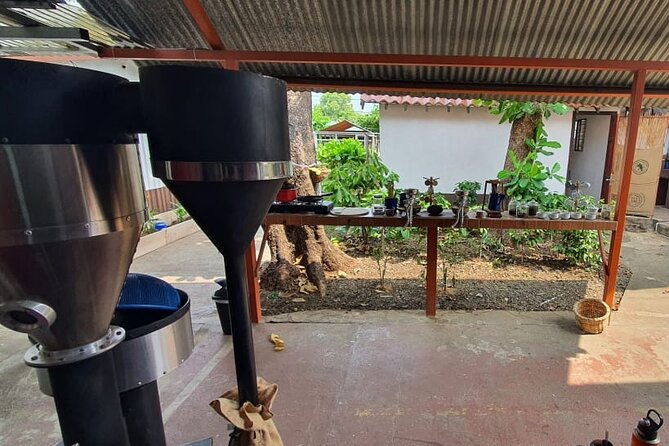3-hour-coffee-and-chocolate-tour-in-playas-del-coco